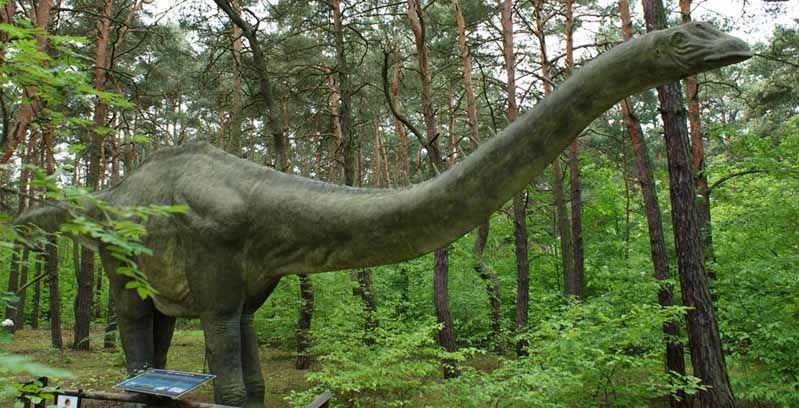 Лучший отдых с детьми в Польше: парк динозавров